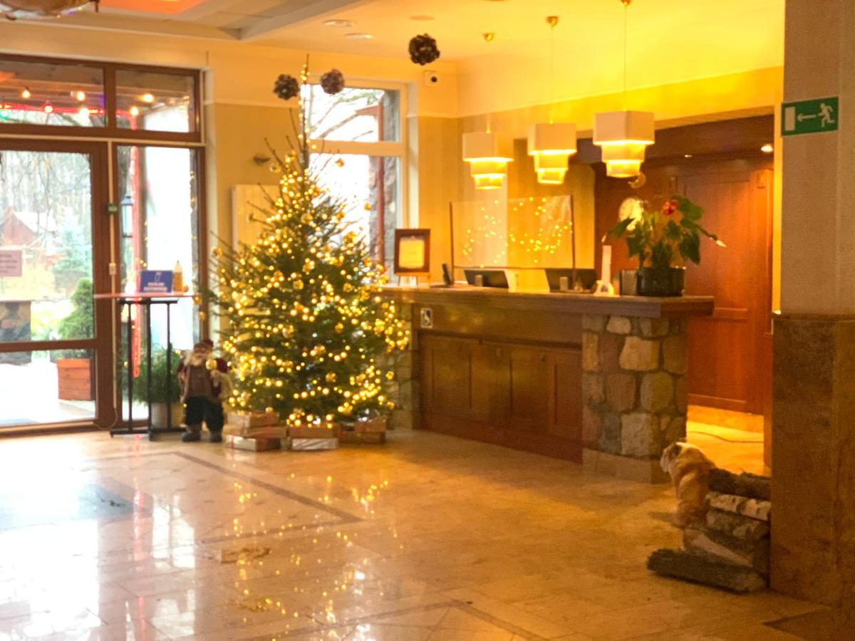 Hotel Albatros Serwy Экстерьер фото